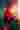 Loading