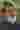 Loading