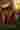 Loading