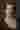 Loading