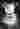 Loading