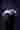 Loading