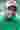 Loading