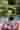 Loading