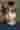 Loading