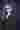 Loading