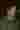 Loading