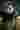 Loading