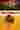 Loading