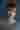 Loading