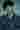 Loading