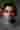 Loading