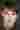 Loading