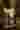 Loading