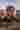 Loading