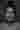 Loading
