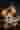 Loading