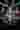 Loading