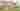 Loading