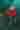 Loading