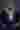 Loading
