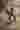 Loading