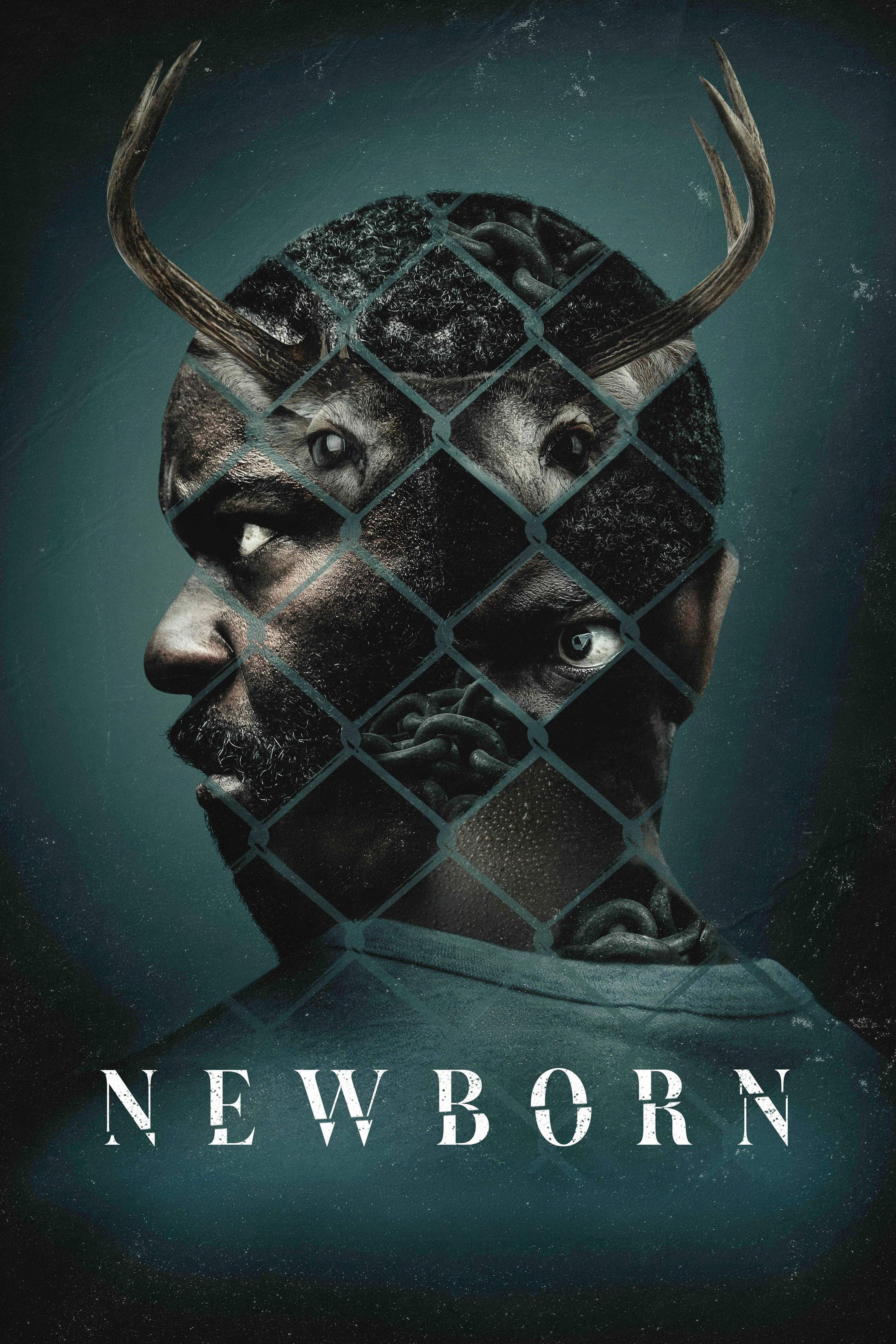 Newborn