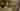 Loading