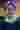 Loading