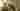 Loading