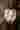 Loading