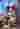 Loading