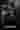 Loading