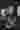 Loading