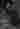 Loading