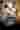 Loading