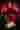 Loading