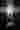 Loading