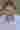 Loading
