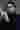 Loading