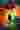 Loading
