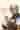 Loading