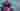Loading