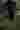 Loading