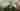 Loading