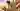 Loading