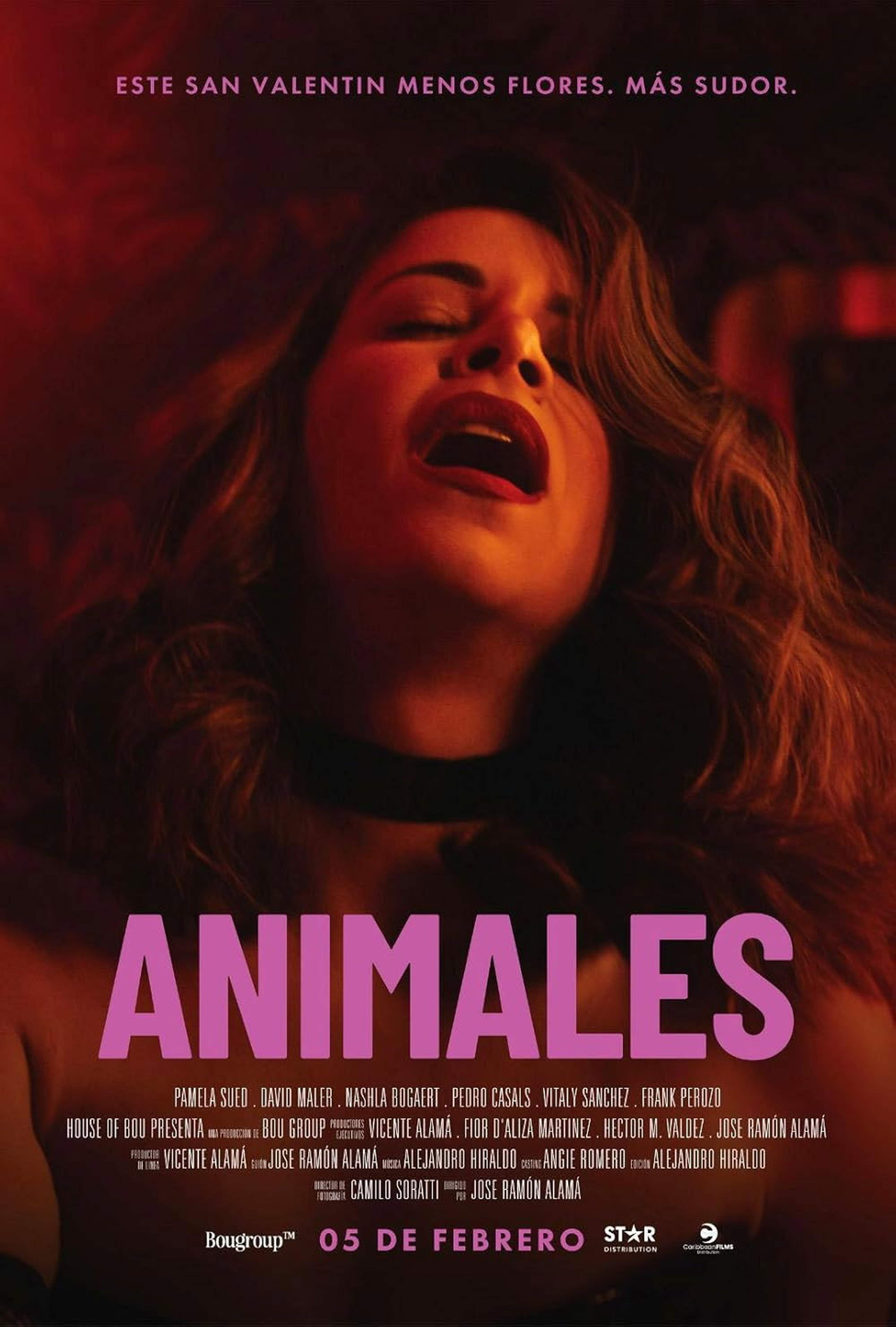 Animales