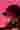 Loading