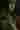 Loading