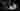 Loading